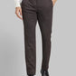 Men Regular Fit Fawn Trouser