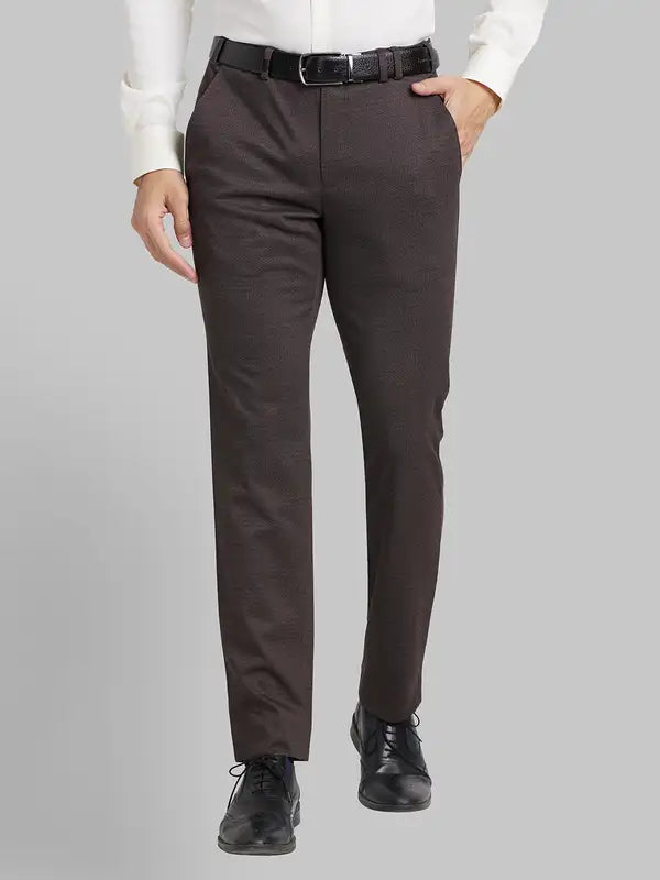 Men Regular Fit Fawn Trouser
