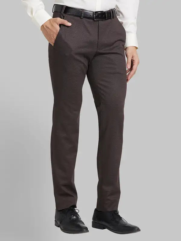 Men Regular Fit Fawn Trouser