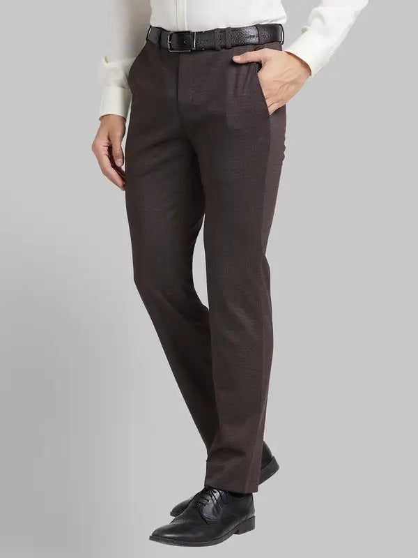Men Regular Fit Fawn Trouser
