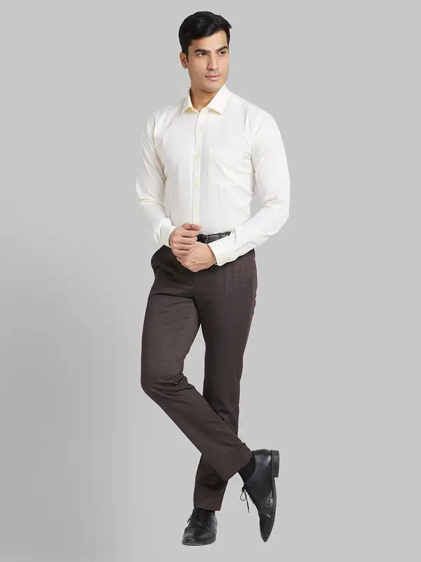 Men Regular Fit Fawn Trouser