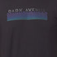 Park Avenue Men Blue Print Slim Fit Cotton Blend Fold Neck T-Shirt