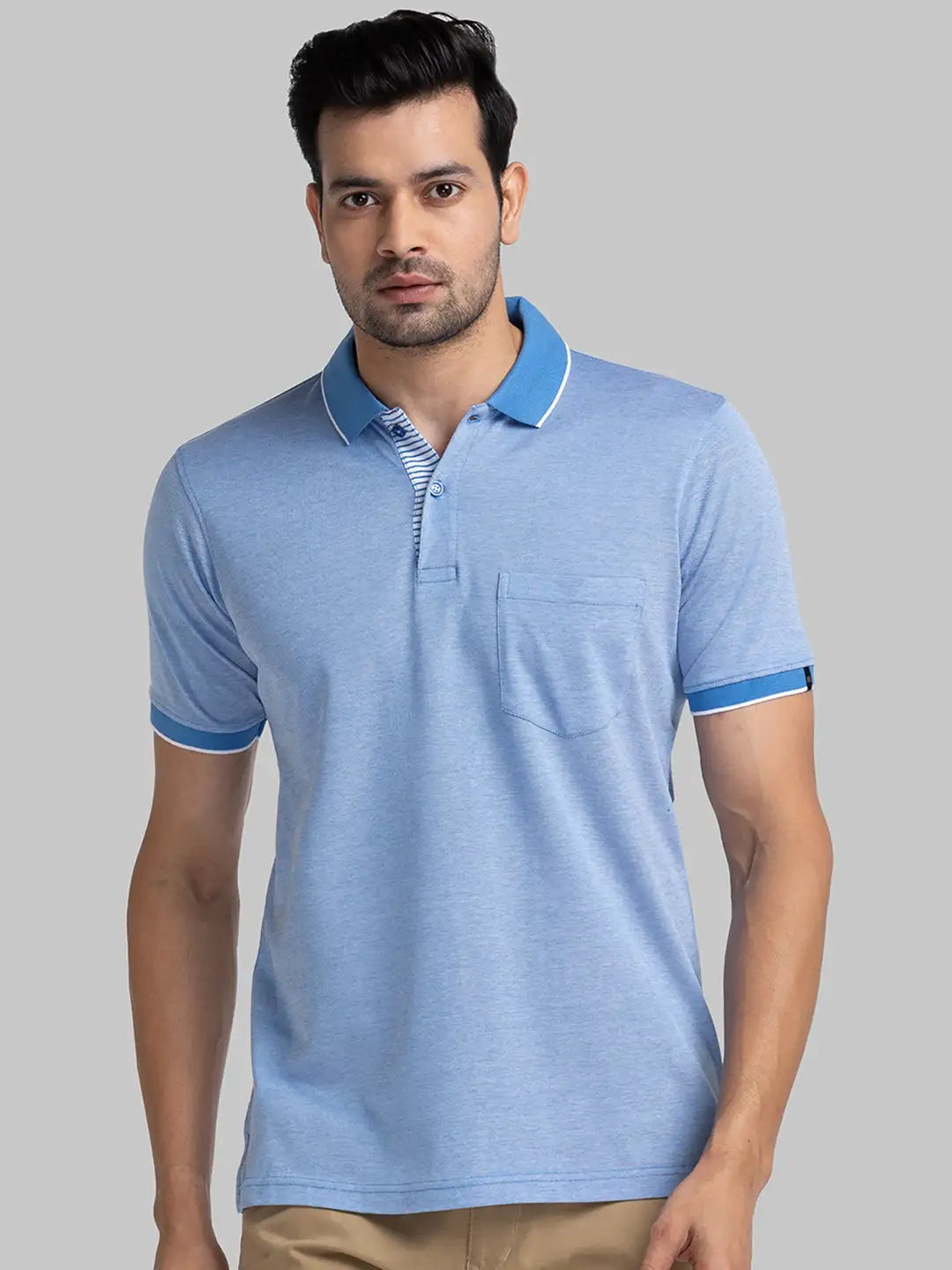 Men Regular Fit Blue Polo