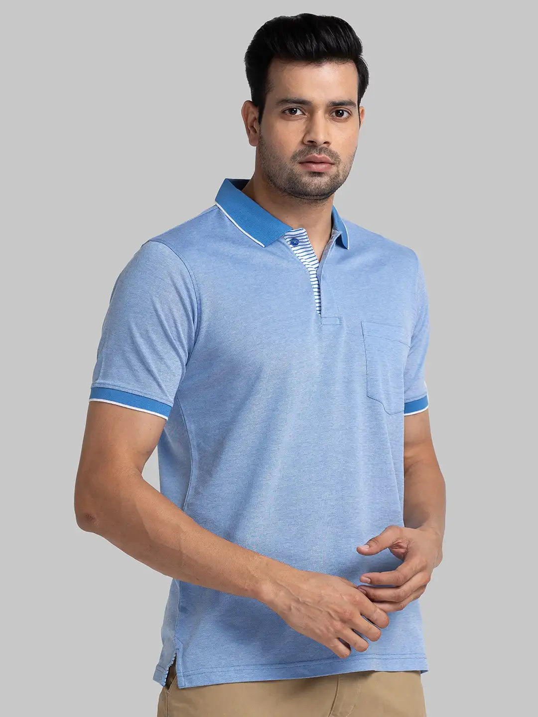 Men Regular Fit Blue Polo