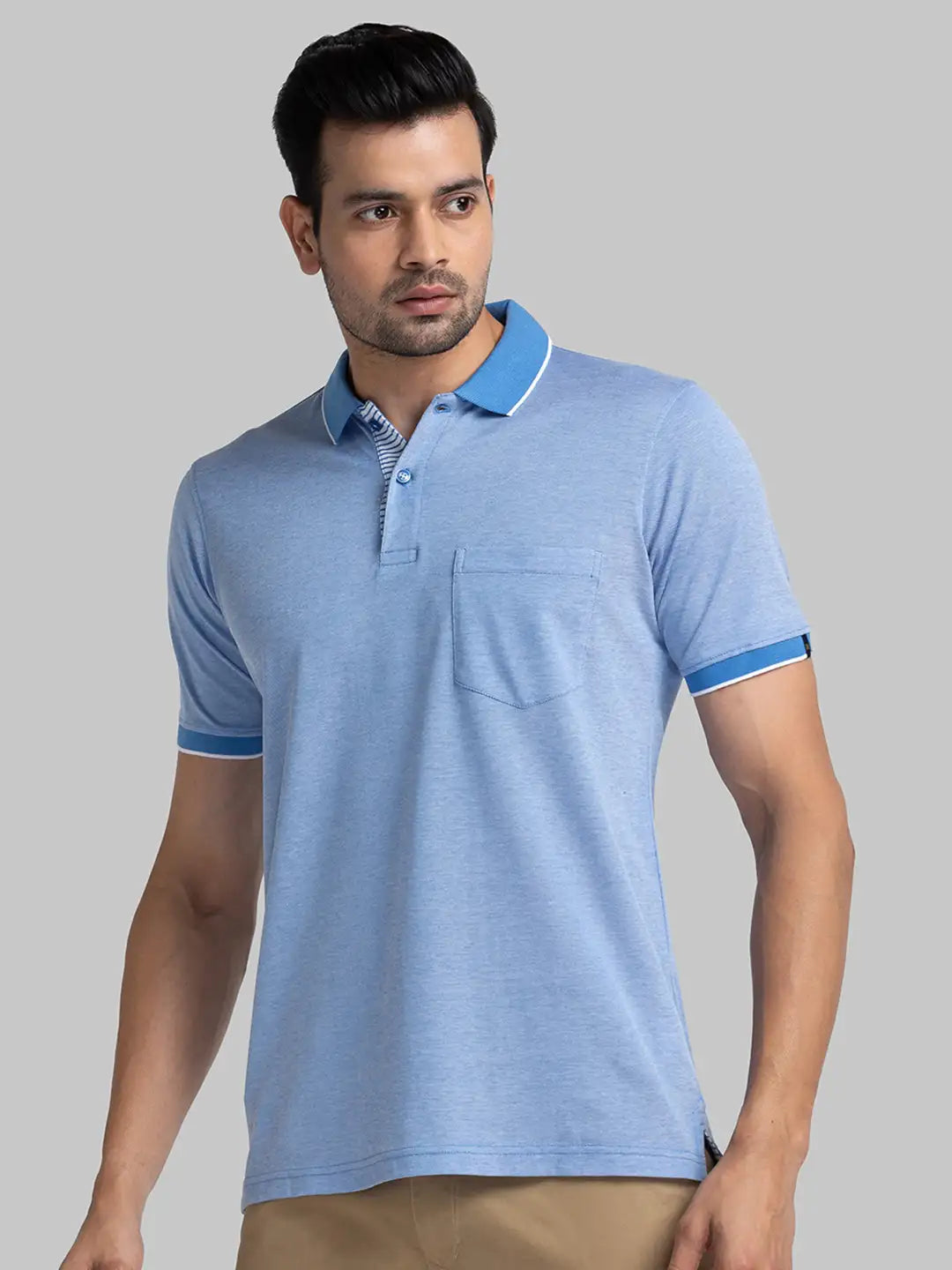 Men Regular Fit Blue Polo