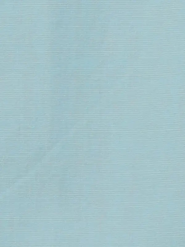 Men Slim Fit Blue Shirt