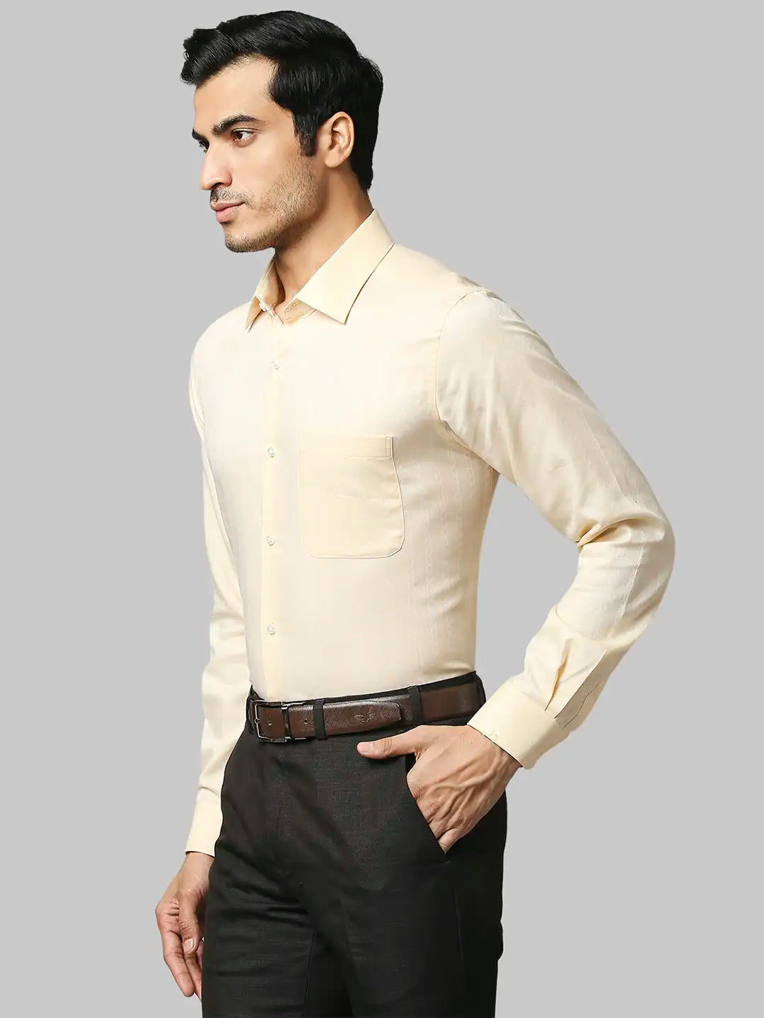 Men Regular Fit Dark Maroon Shirt