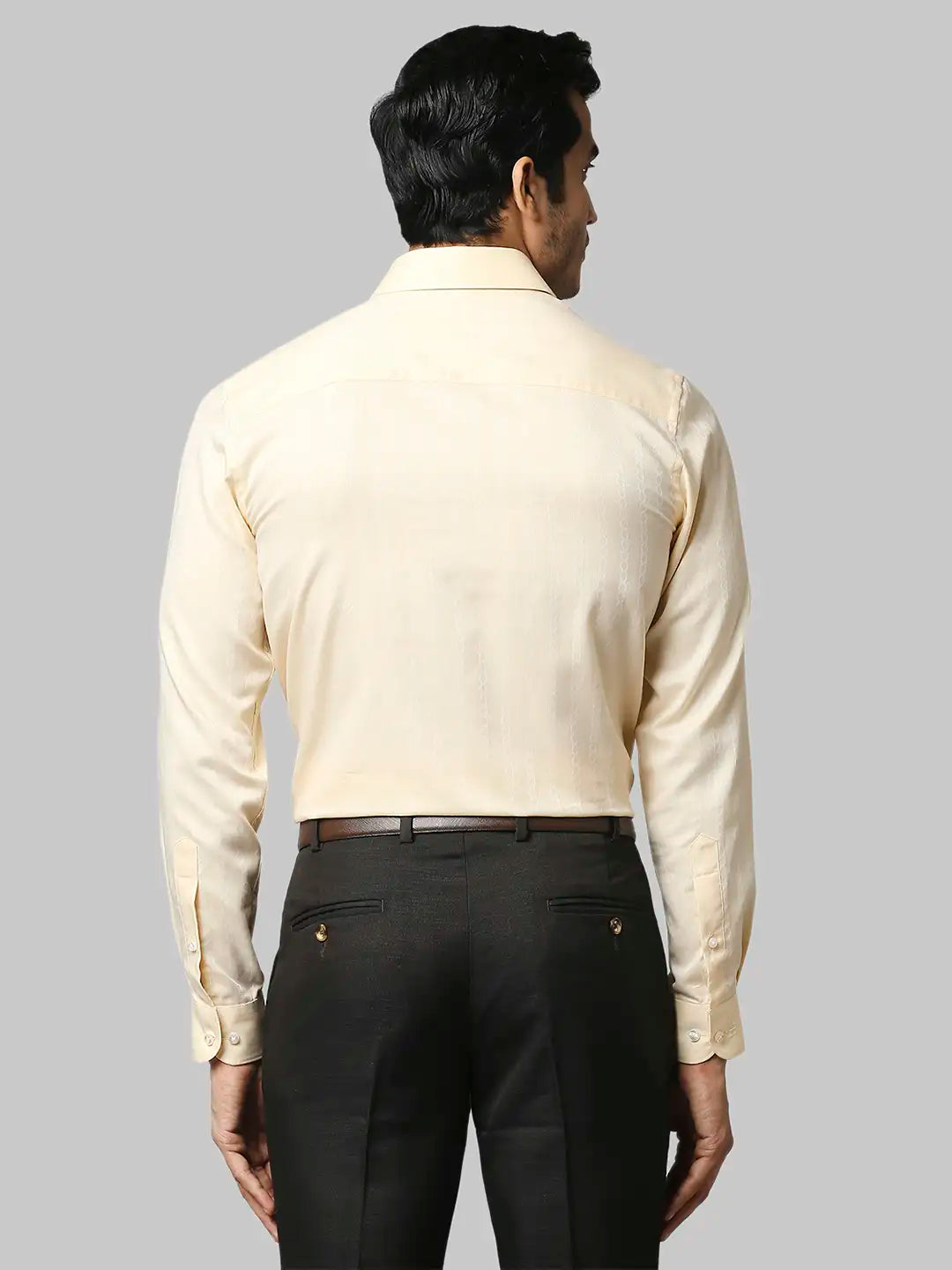 Men Regular Fit Dark Maroon Shirt
