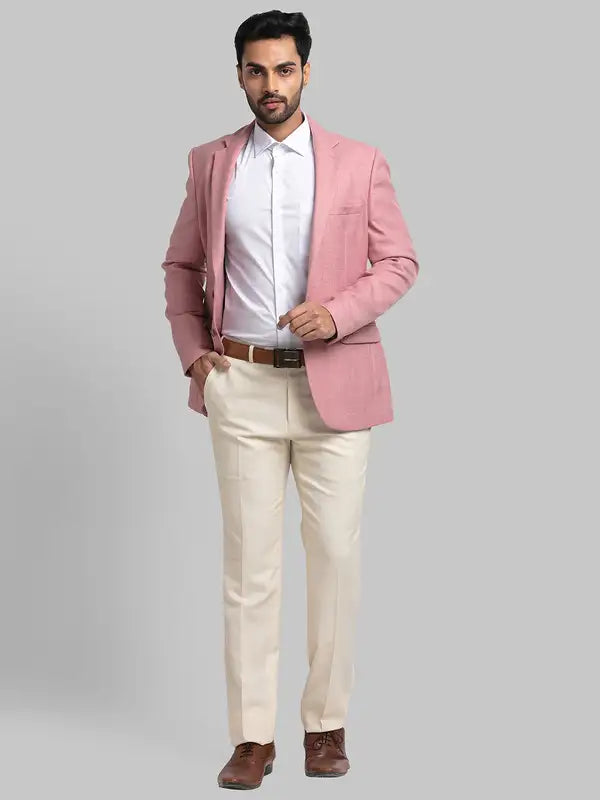 Men Slim Fit Grey Trouser