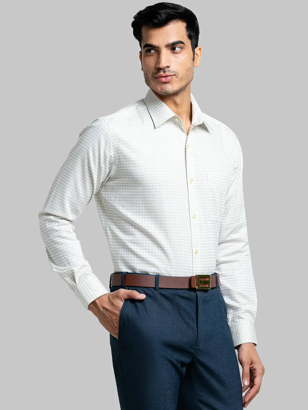 Men Regular Fit Light Green Shirt