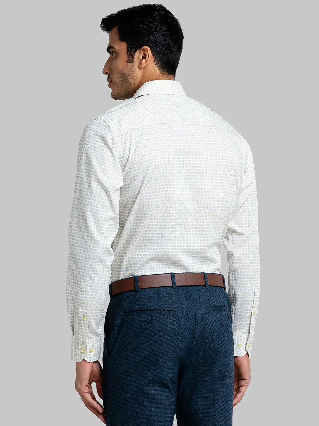 Men Regular Fit Light Green Shirt