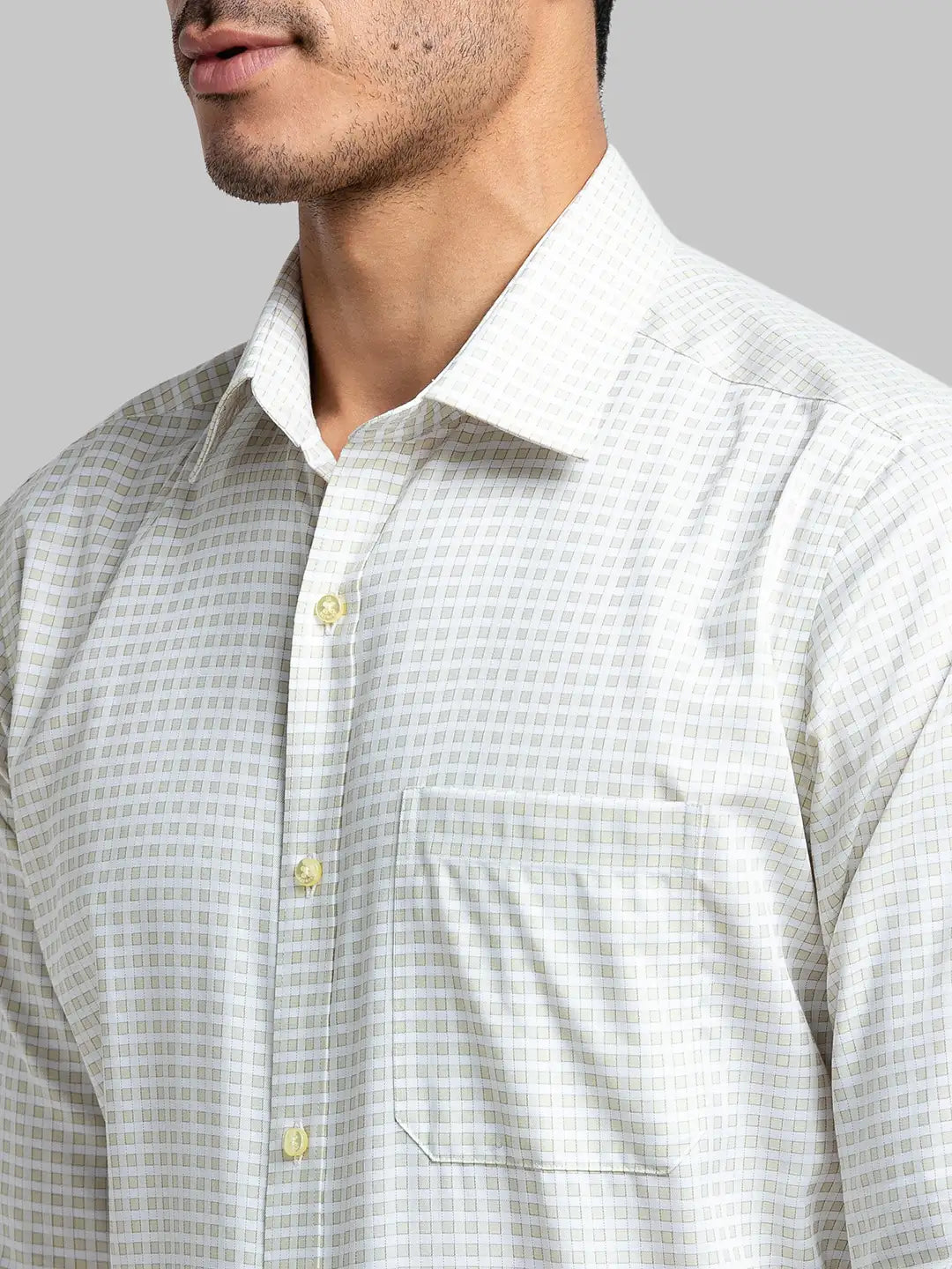 Men Regular Fit Light Green Shirt