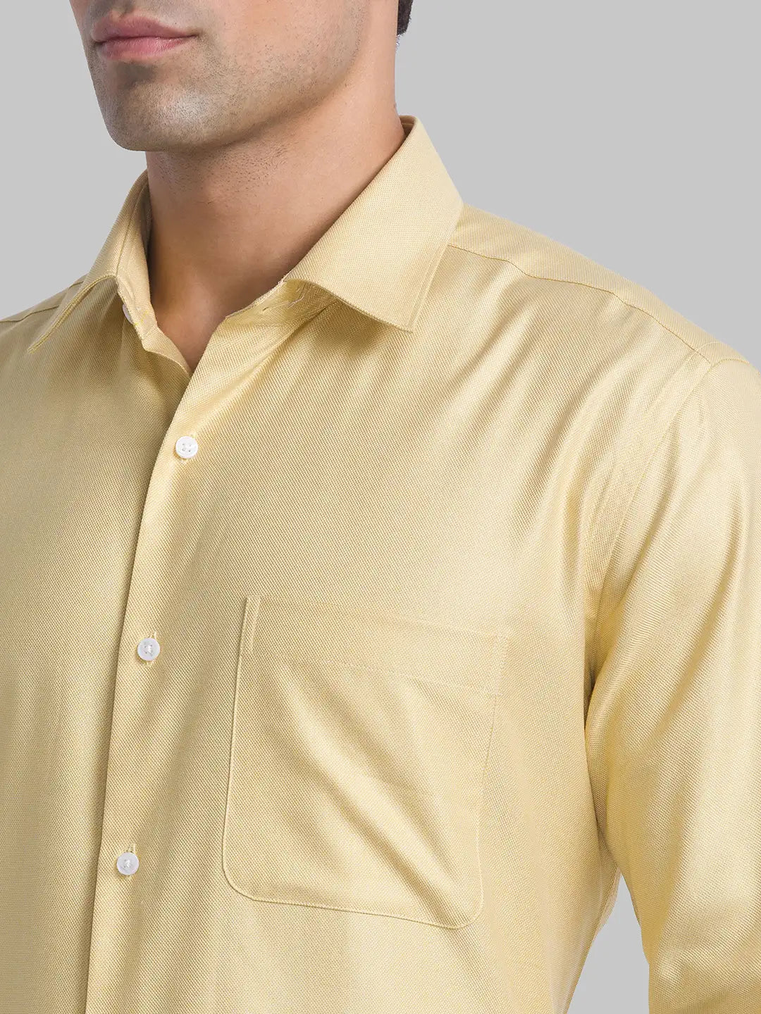 Men Regular Fit Light Blue Shirt