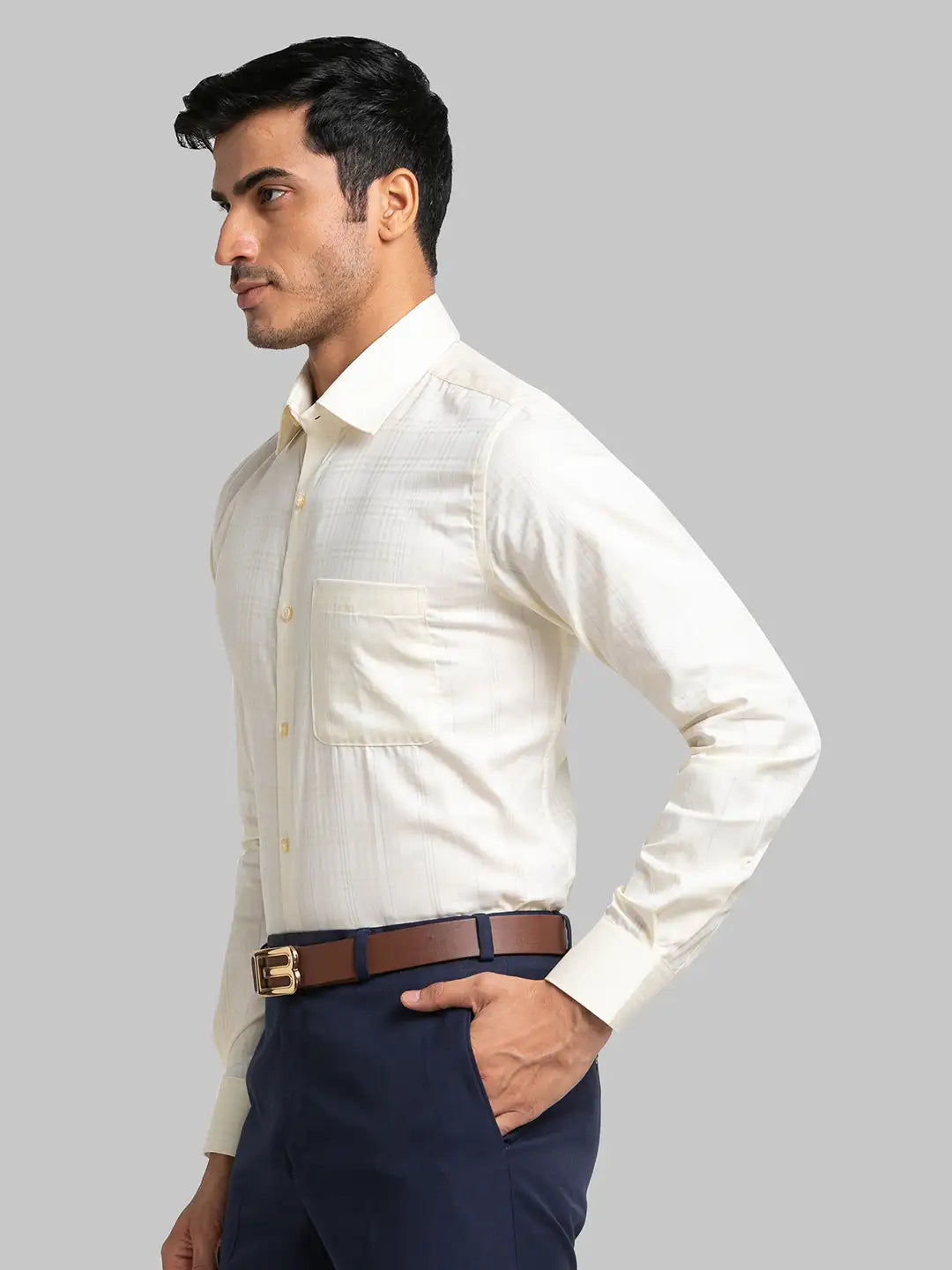 Men Regular Fit Violet Shirt