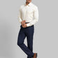 Men Regular Fit Violet Shirt