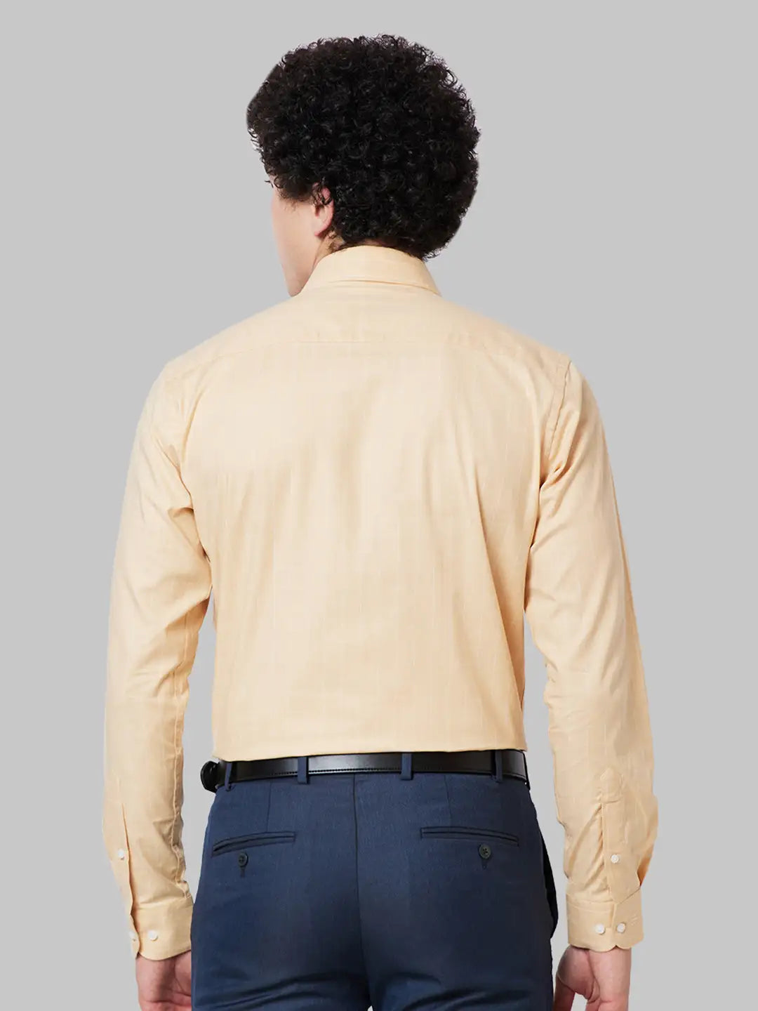 Raymond Men Blue Slim Fit Structure Cotton Shirts