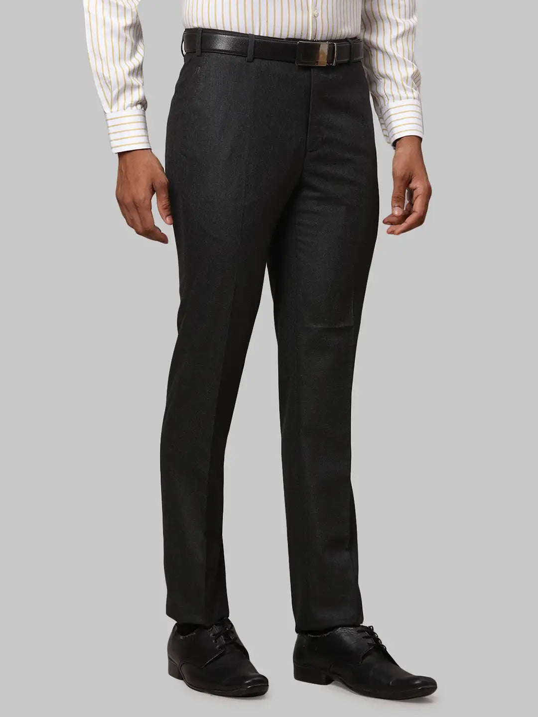 Men Regular Fit Fawn Trouser