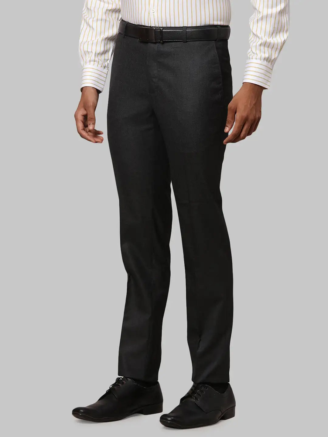 Men Regular Fit Fawn Trouser