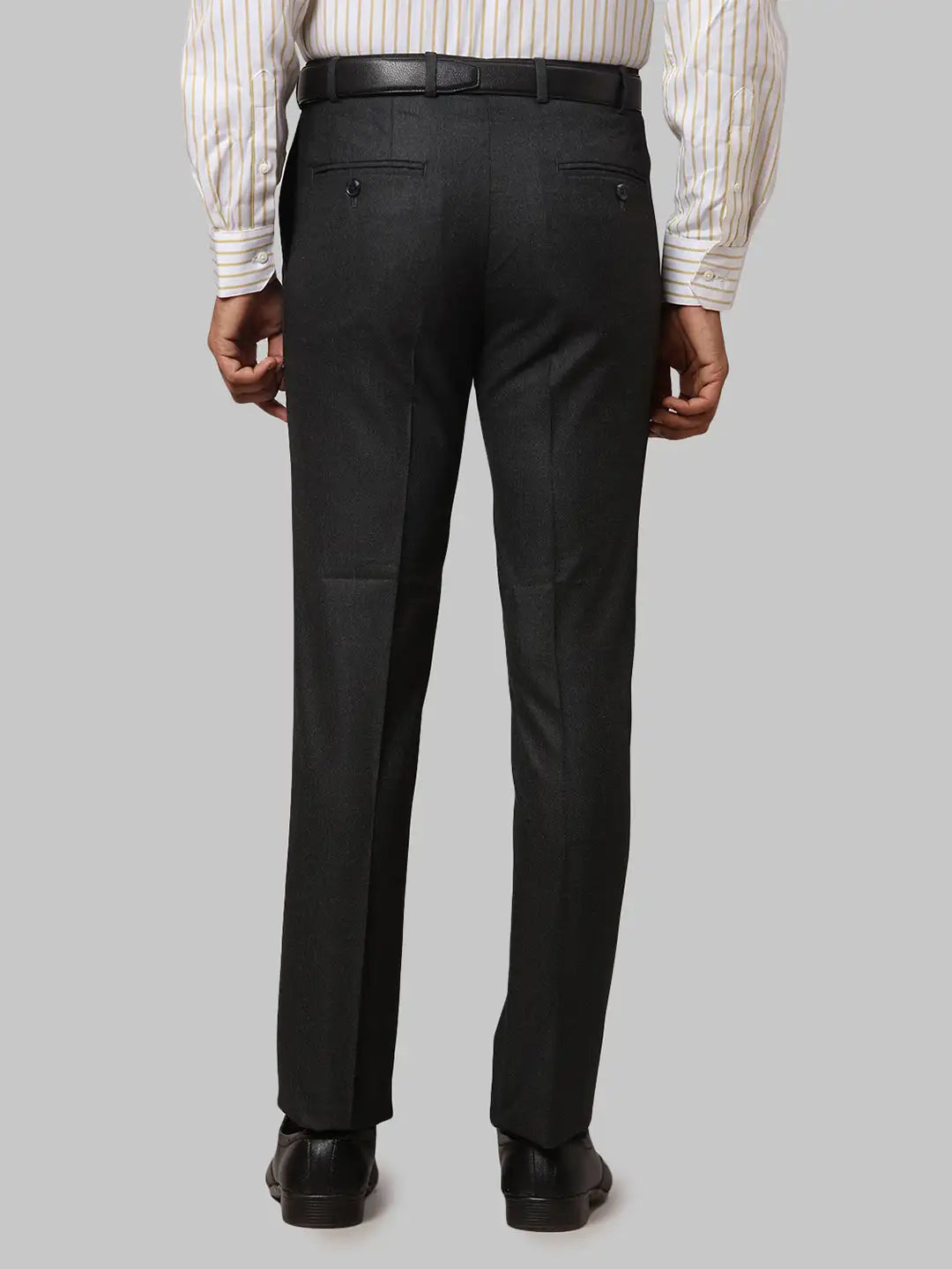 Men Regular Fit Fawn Trouser