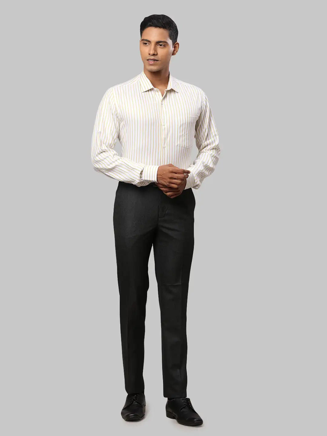 Men Regular Fit Fawn Trouser