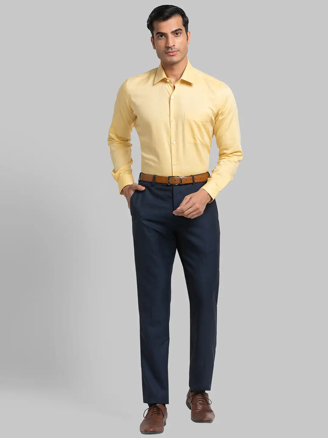Men Regular Fit Grey Chinos & Trouser