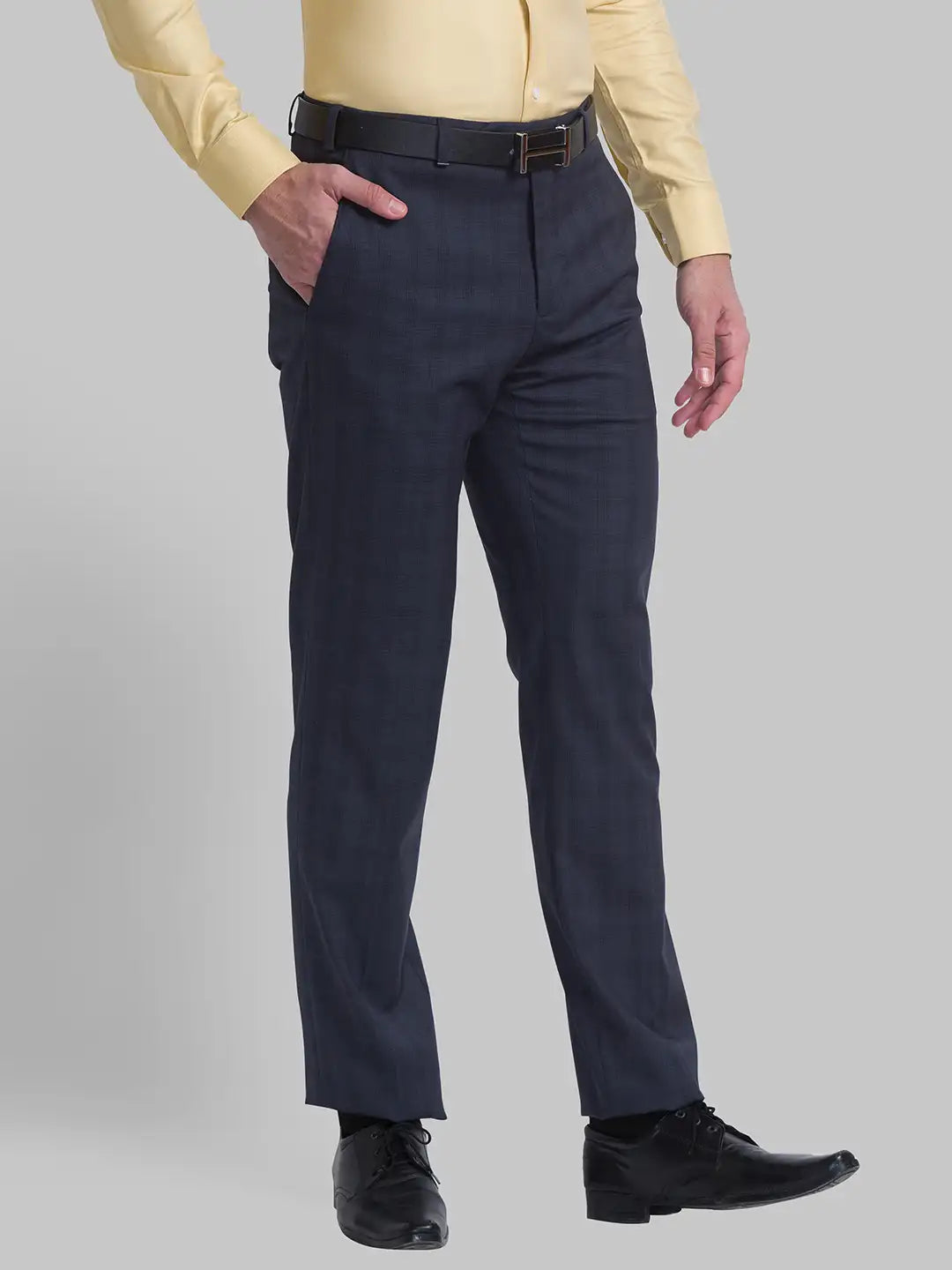 Men Regular Fit Blue Chinos & Trouser