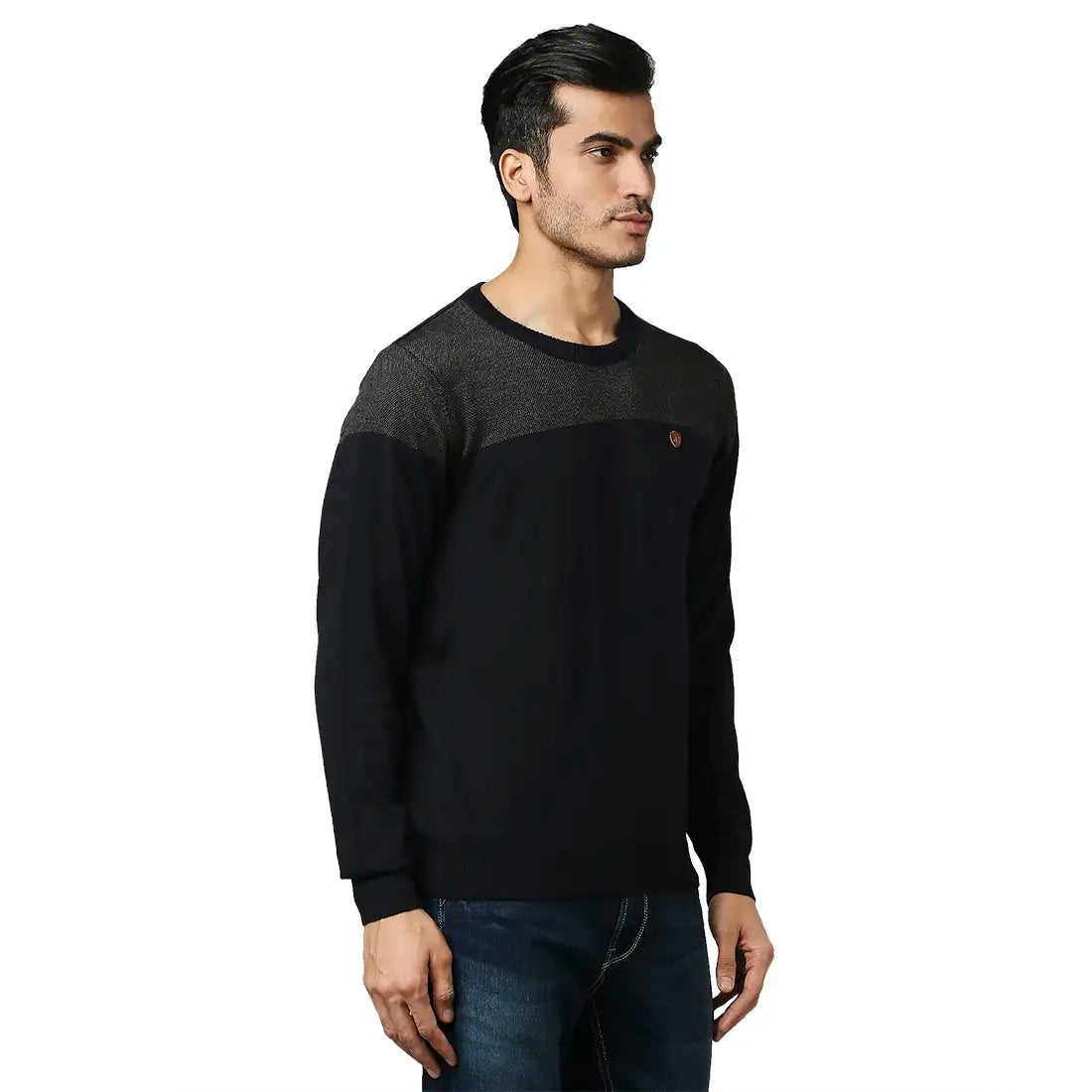 Men Regular Fit Black Sweater