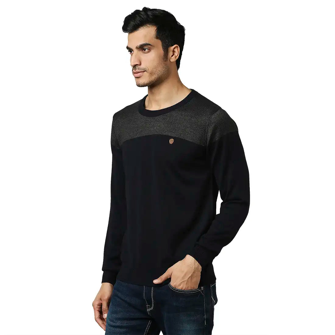 Men Regular Fit Black Sweater