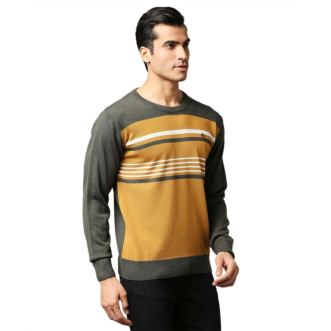 Raymond Dark Blue Sweaters