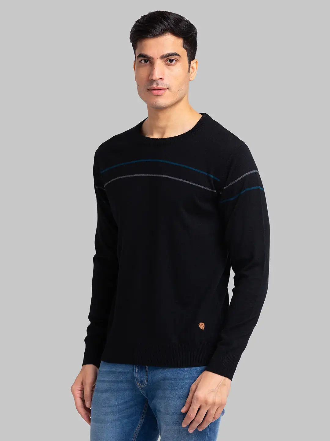 Raymond sweaters for men sale