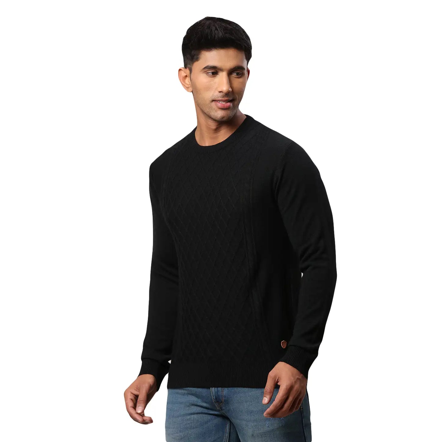 Men Regular Fit Black Sweater