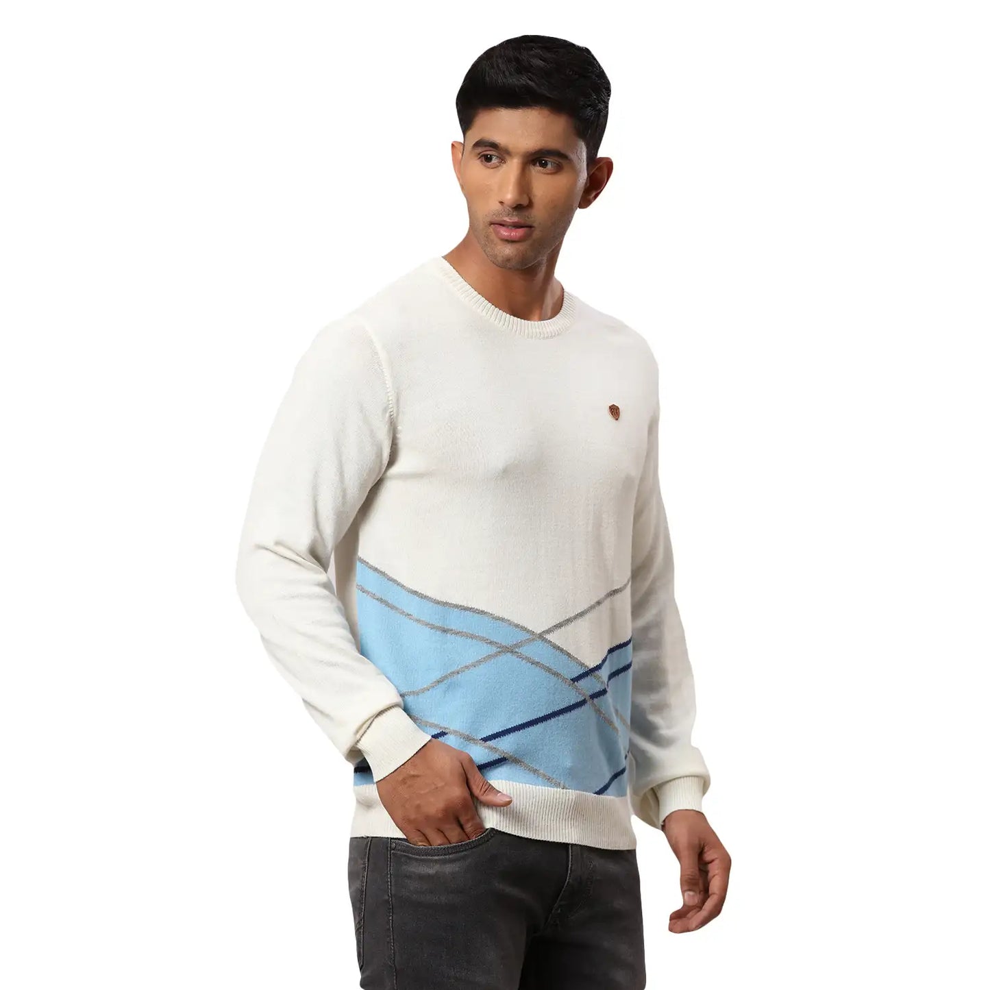 Men Regular Fit Blue Sweater