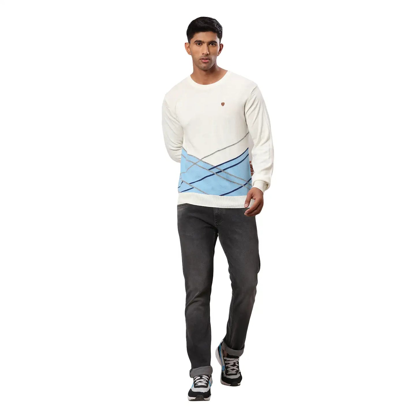 Men Regular Fit Blue Sweater