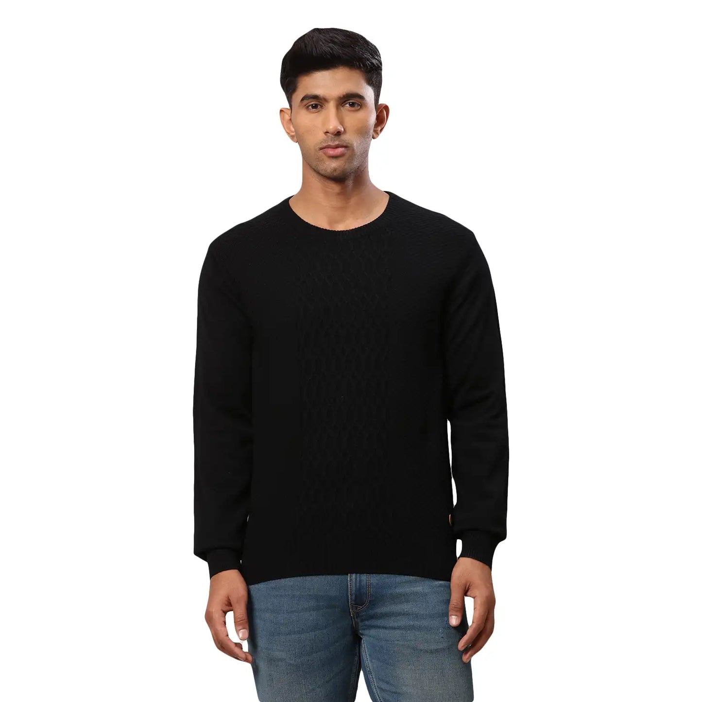 Men Regular Fit Blue Polo