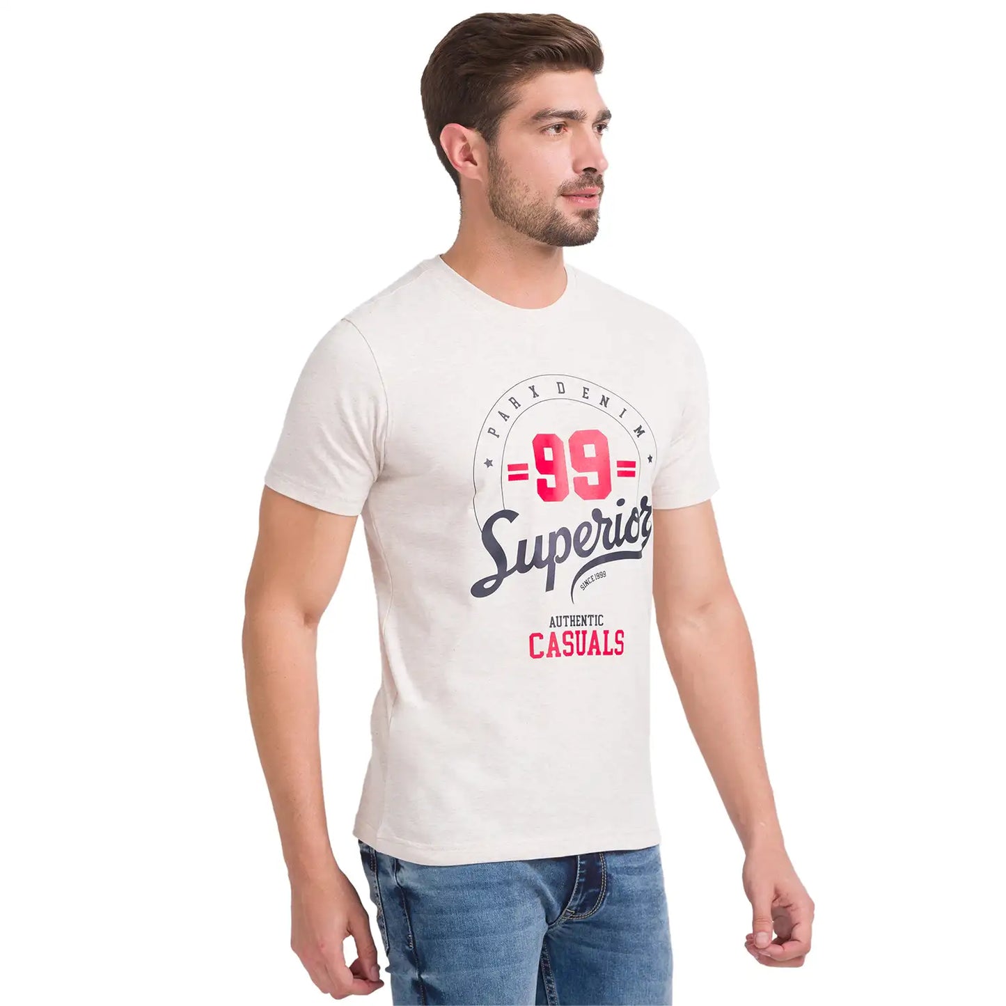 Men Regular Fit Grey T-Shirt