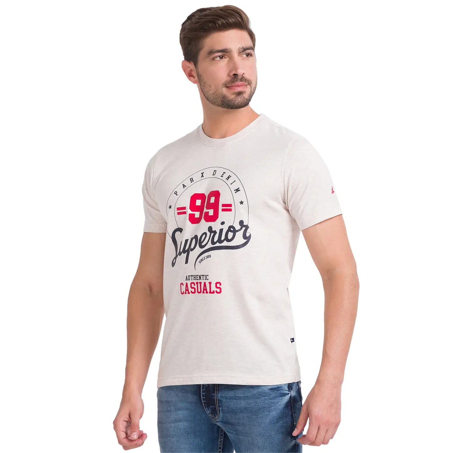 Men Regular Fit Grey T-Shirt