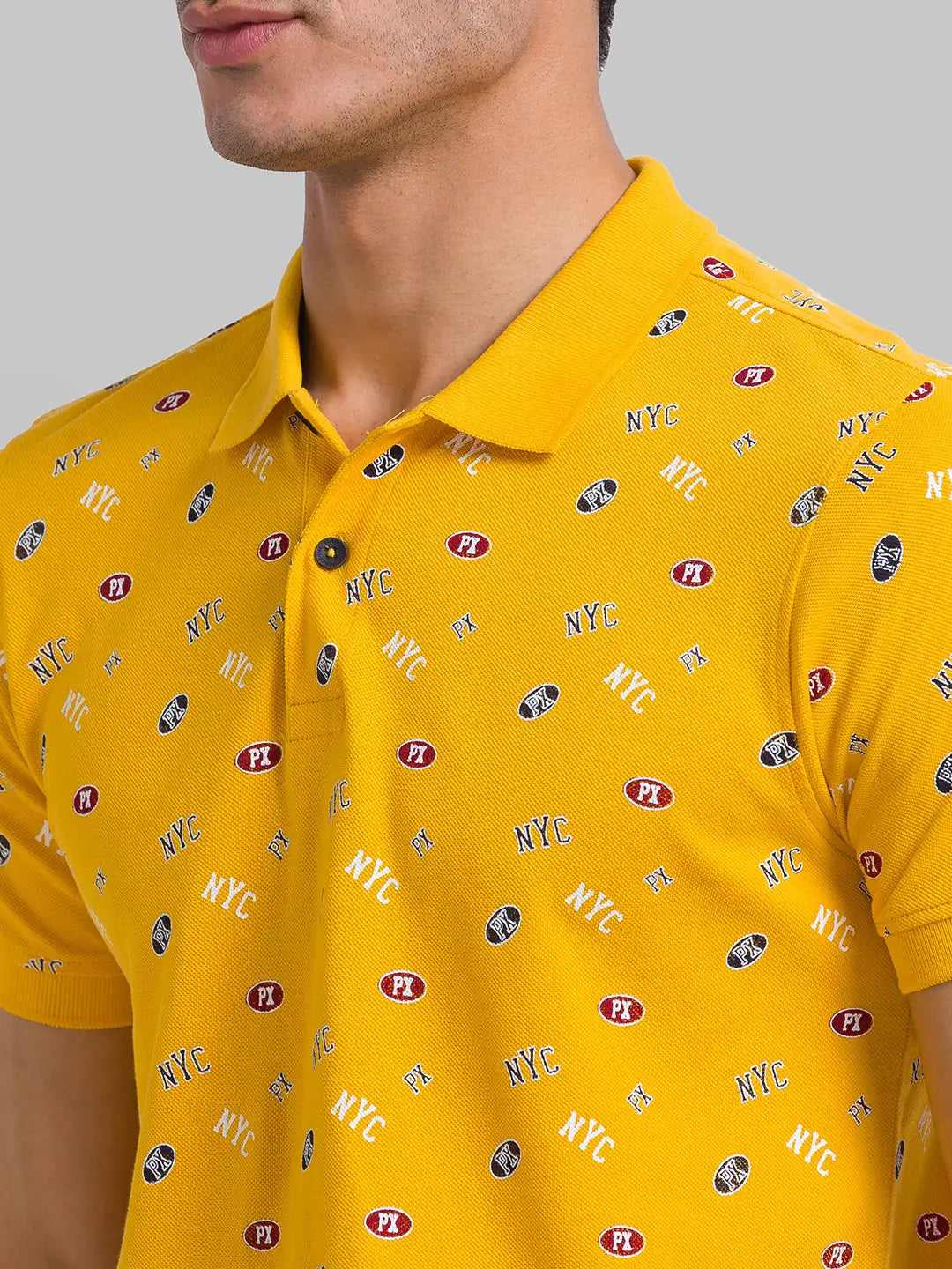 Men Regular Fit Light Green Polo
