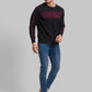 Men Regular Fit White Sweatshirt