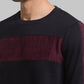 Men Regular Fit White Sweatshirt