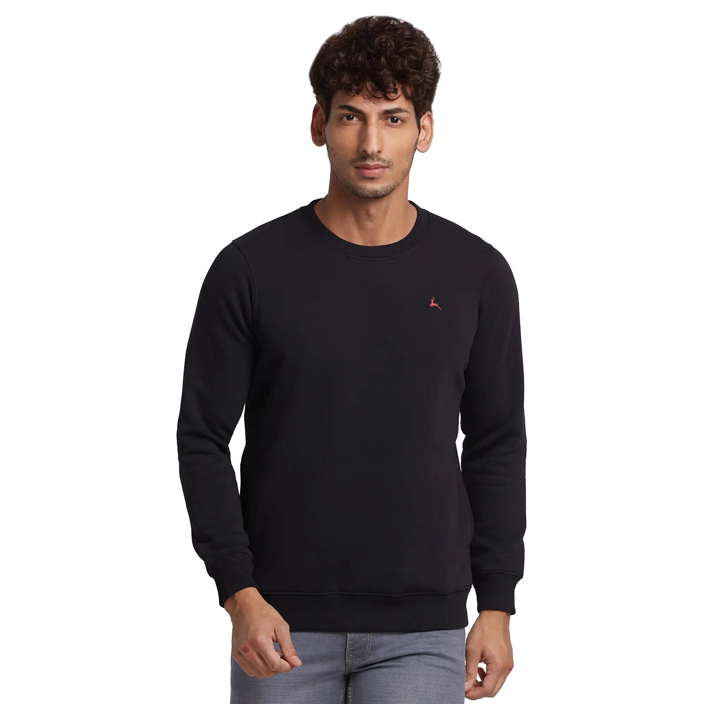 Parx Men Blue Cut & Sew Regular Fit Cotton Blend Round Neck Sweatshirt