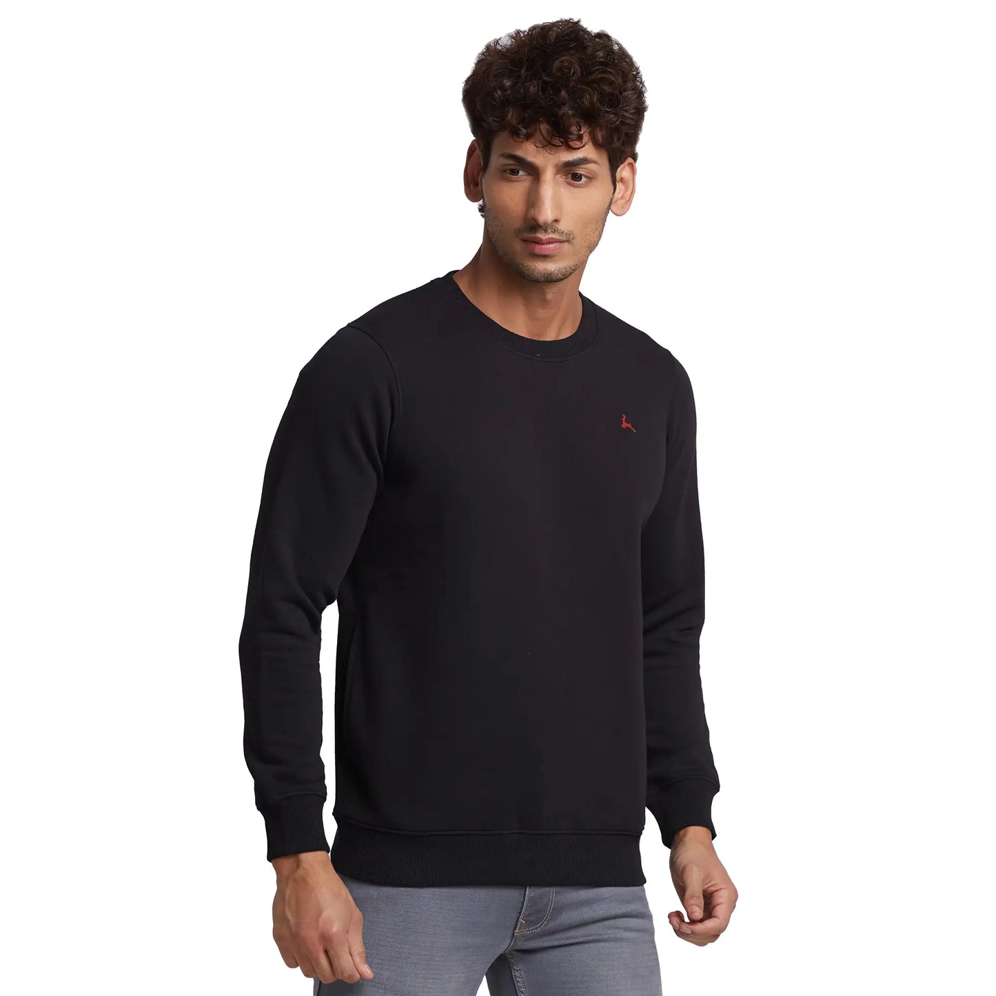 Parx Men Blue Cut & Sew Regular Fit Cotton Blend Round Neck Sweatshirt