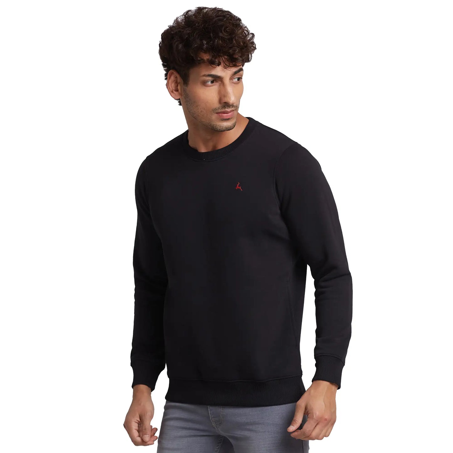Parx Men Blue Cut & Sew Regular Fit Cotton Blend Round Neck Sweatshirt