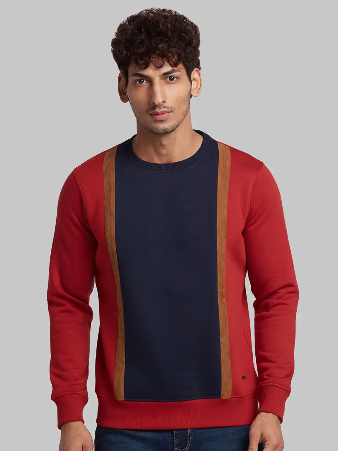 Men Fawn Regular Fit Structure  Cotton   Sweatshirt