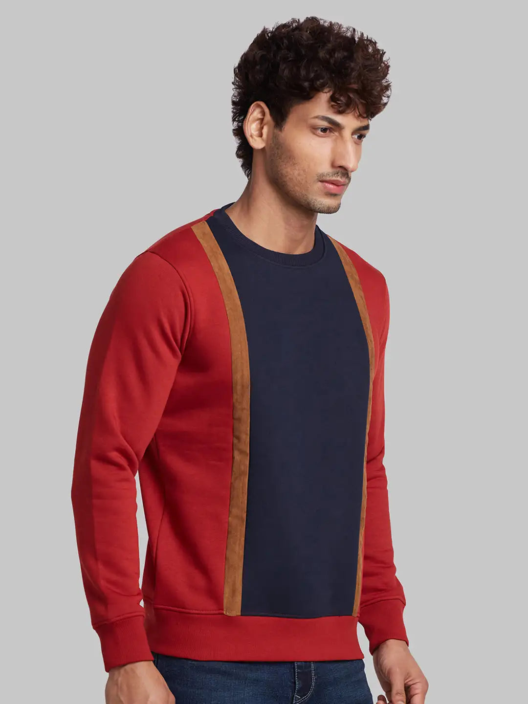 Men Fawn Regular Fit Structure  Cotton   Sweatshirt