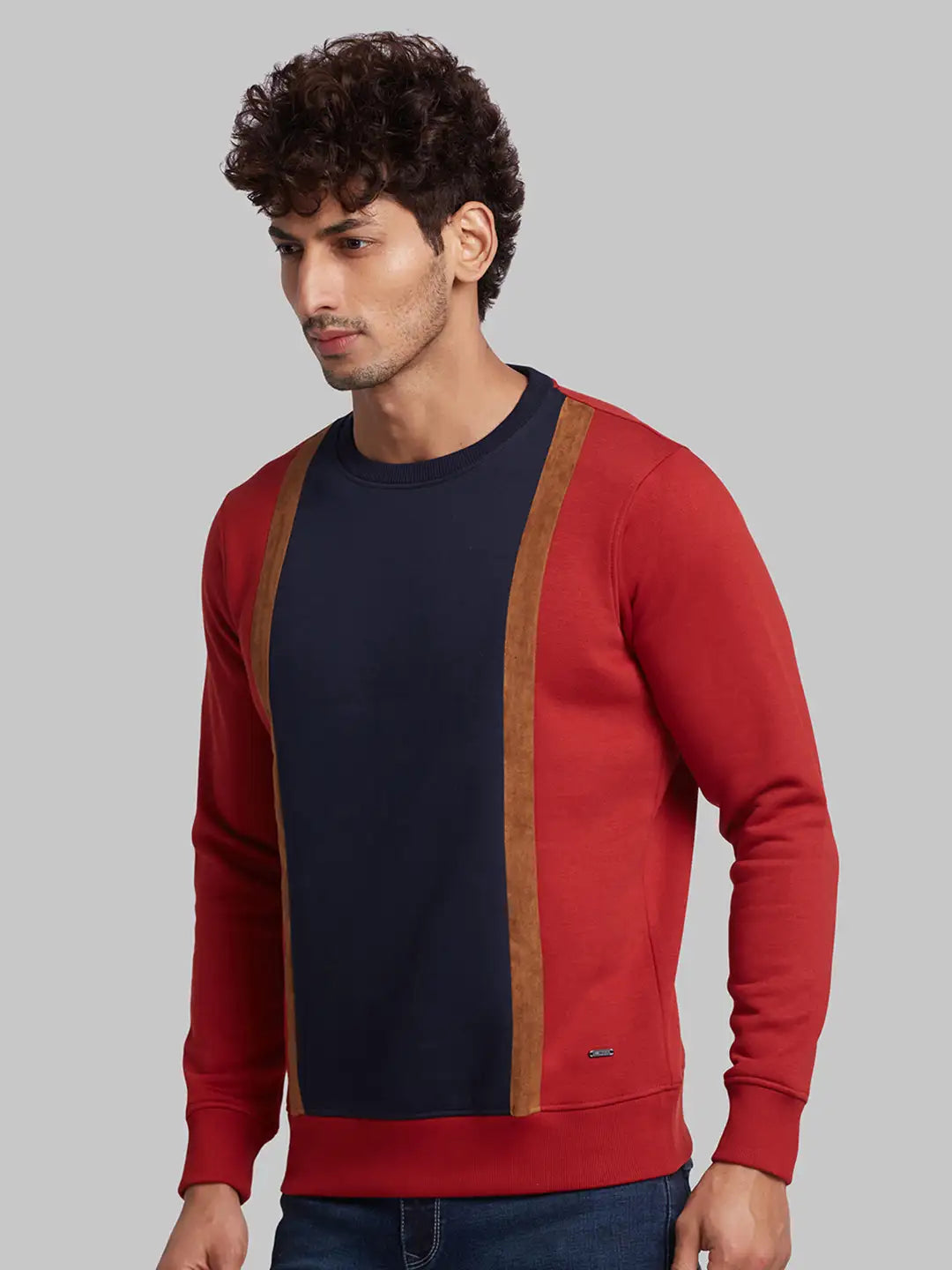 Men Fawn Regular Fit Structure  Cotton   Sweatshirt