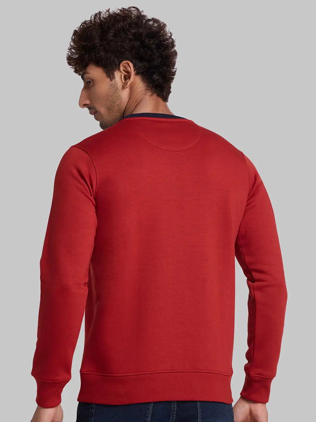 Men Fawn Regular Fit Structure  Cotton   Sweatshirt