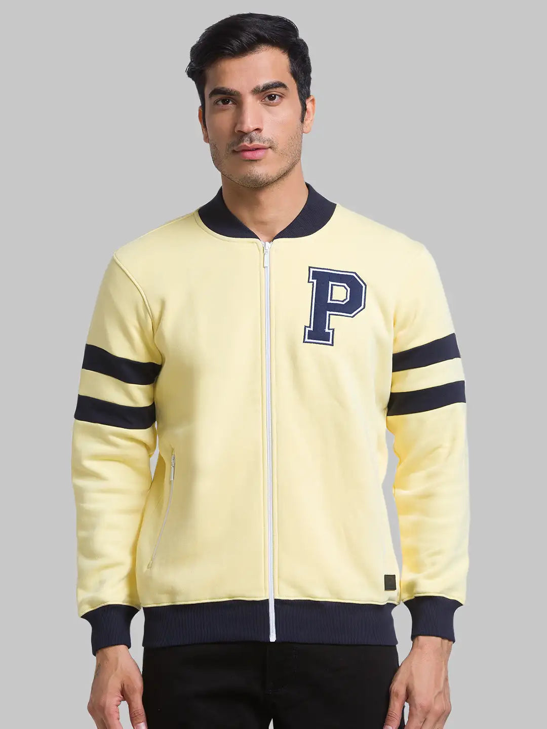 Men Regular Fit Violet Suit