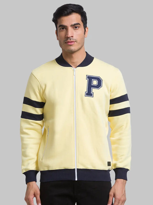 Men Regular Fit Violet Suit