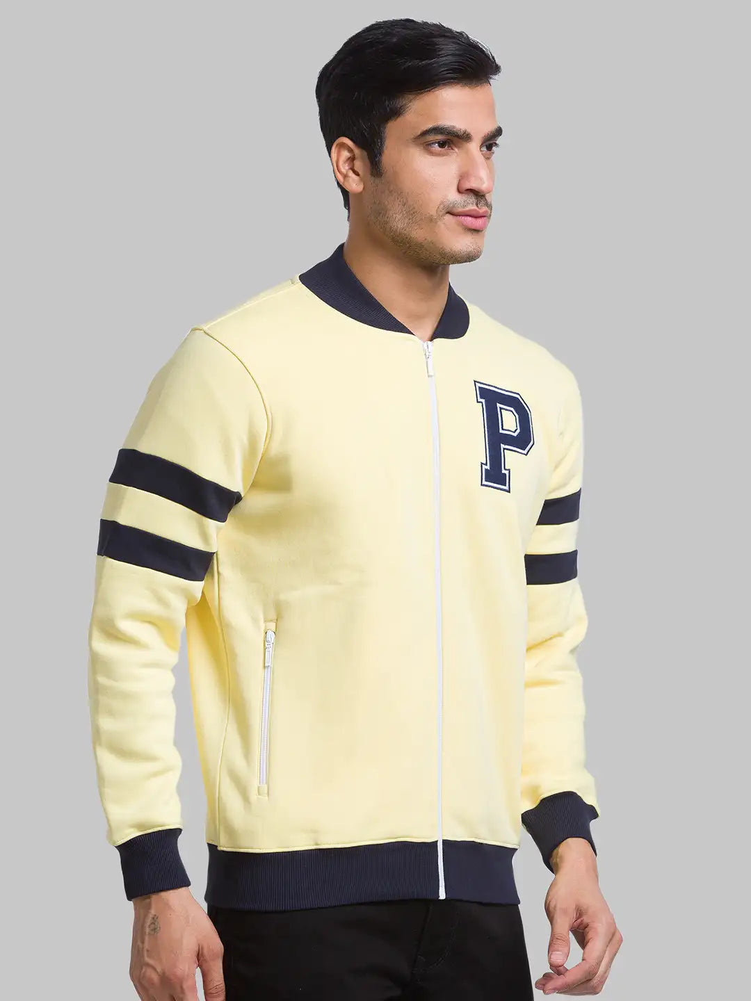 Men Regular Fit Violet Suit