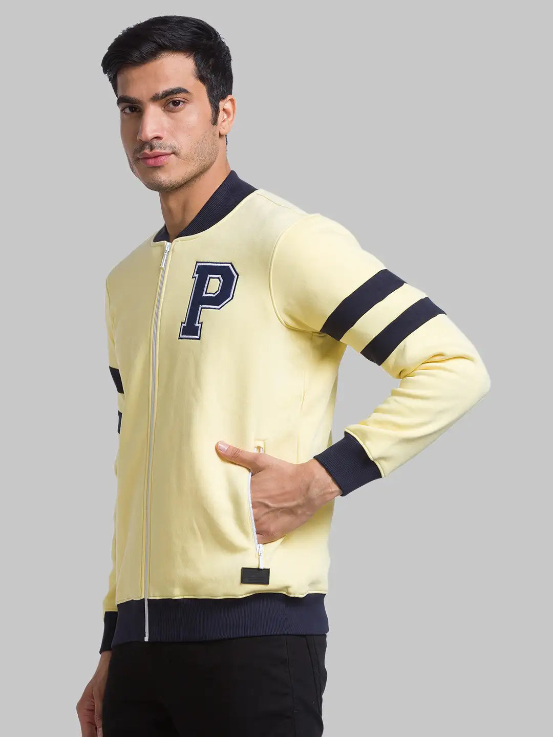 Men Regular Fit Violet Suit